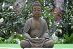 buddha-1.gif